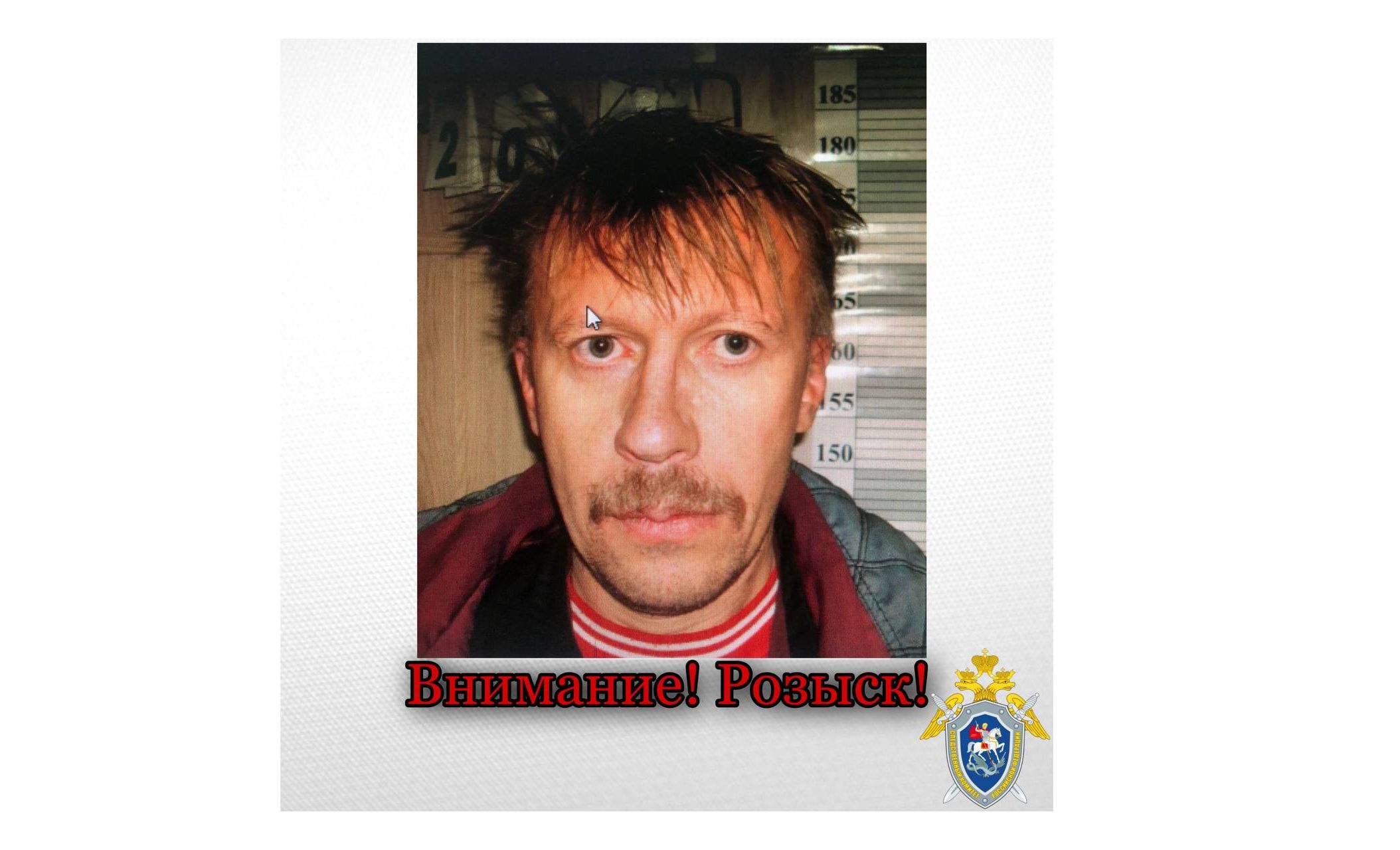 В Ярославской области с октября ищут пропавшего 47-летнего мужчину