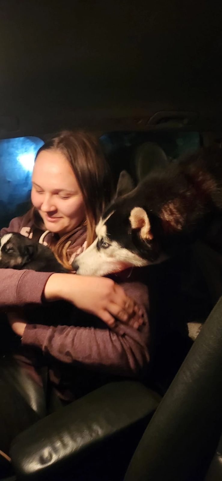 В Ярославской области волонтеры освободили кошек, собак и обезьянку