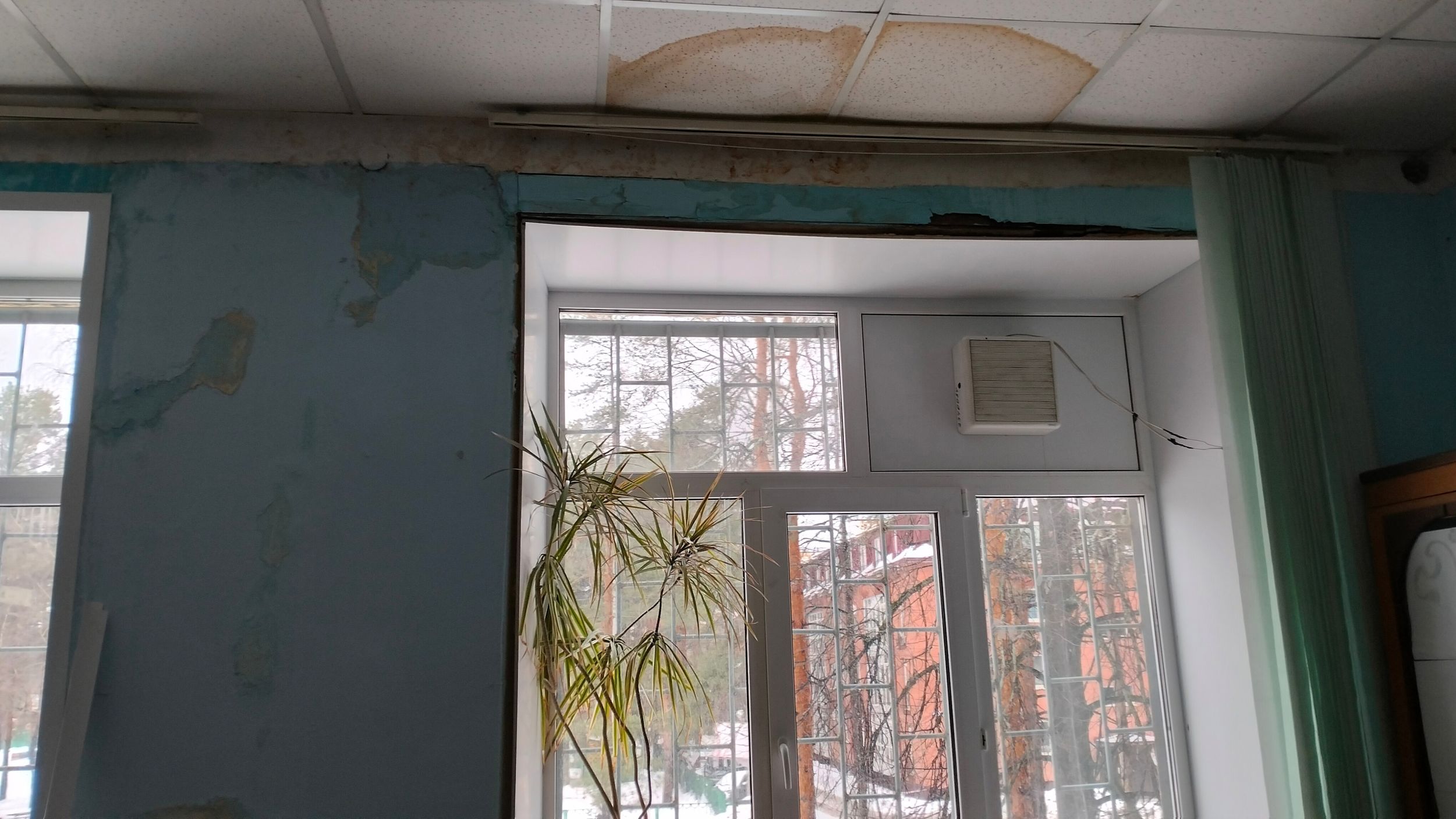 В школе Ярославля закрыли класс информатики из-за протекающей крыши