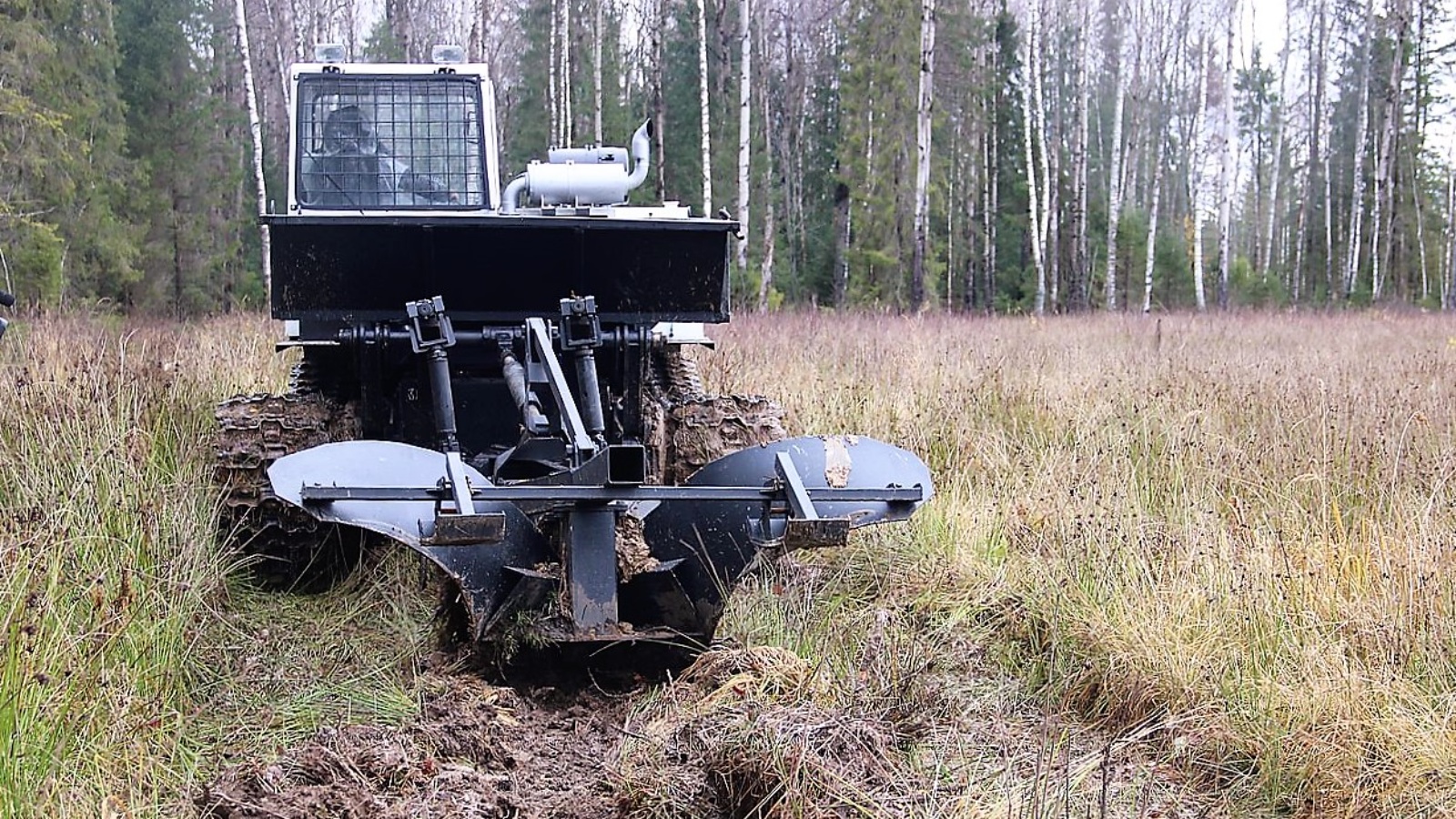 Более 2500 гектаров в Ярославской области подготовят под искусственное лесовосстановление в этом сезоне