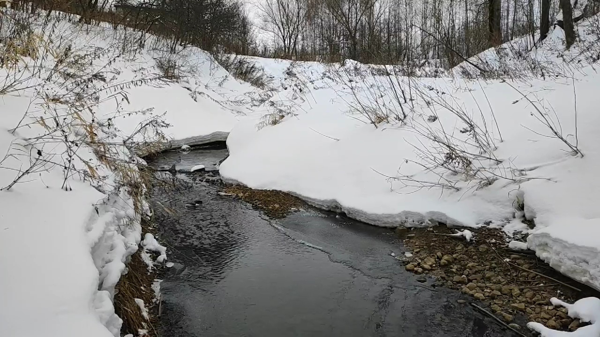 В Ярославле после жалоб местных жителей на неприятный запах специалисты взяли пробы воды в притоке Волги