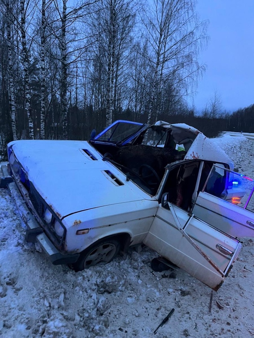 На окружной дороге в Рыбинске водитель ВАЗа сбил лося