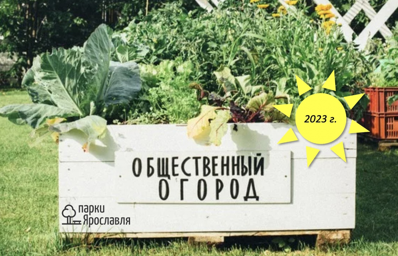 Жители Ярославля смогут выращивать еду в парке на Даманском острове
