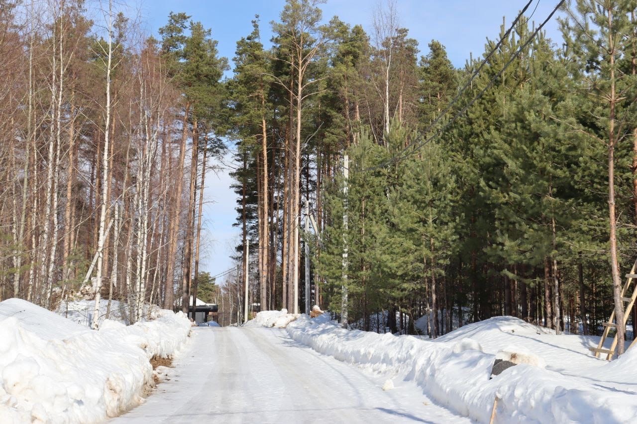 По факту вырубки леса рядом с Прусовскими карьерами под Ярославлем возбуждено уголовное дело