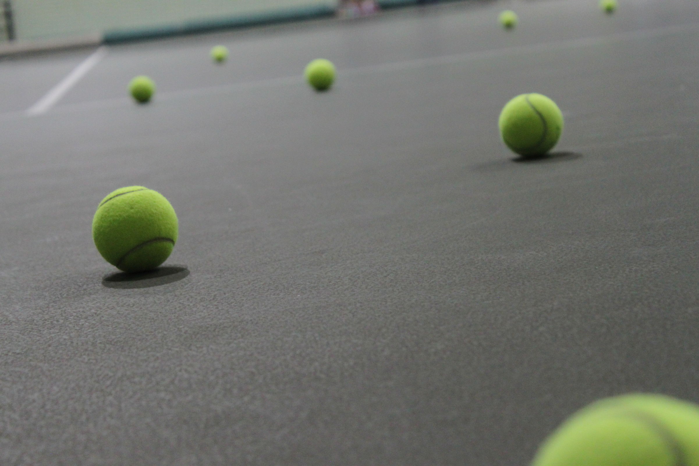 В Ярославле дети участников СВО смогут бесплатно заниматься теннисом
