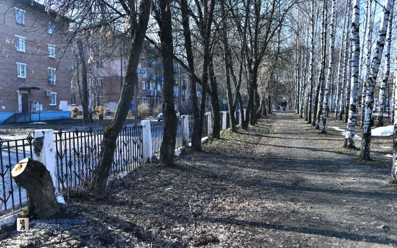 В Ярославле назвали дату общегородского субботника