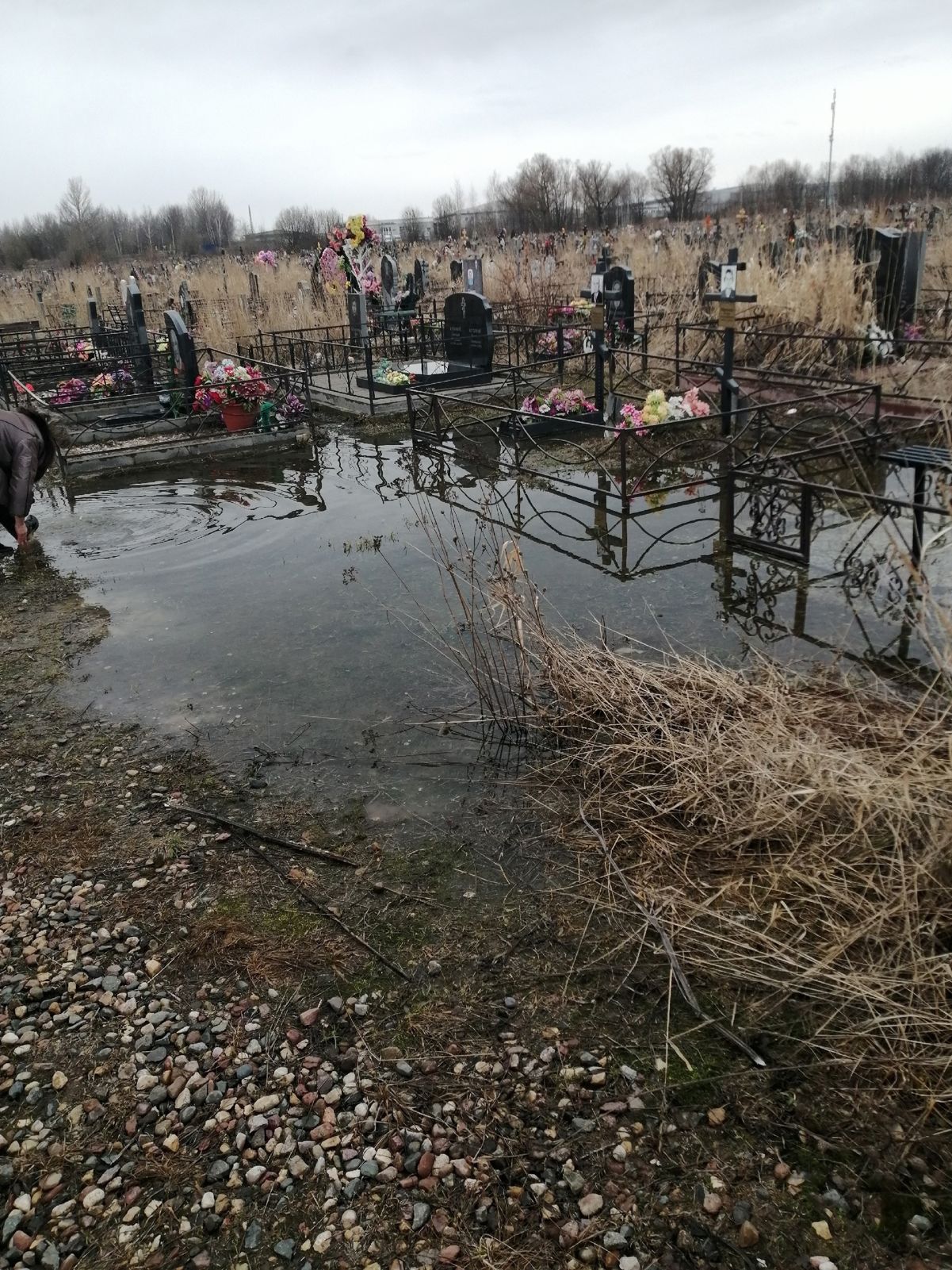 В Ярославле затопило Осташинское кладбище- Яррег - новости Ярославской  области