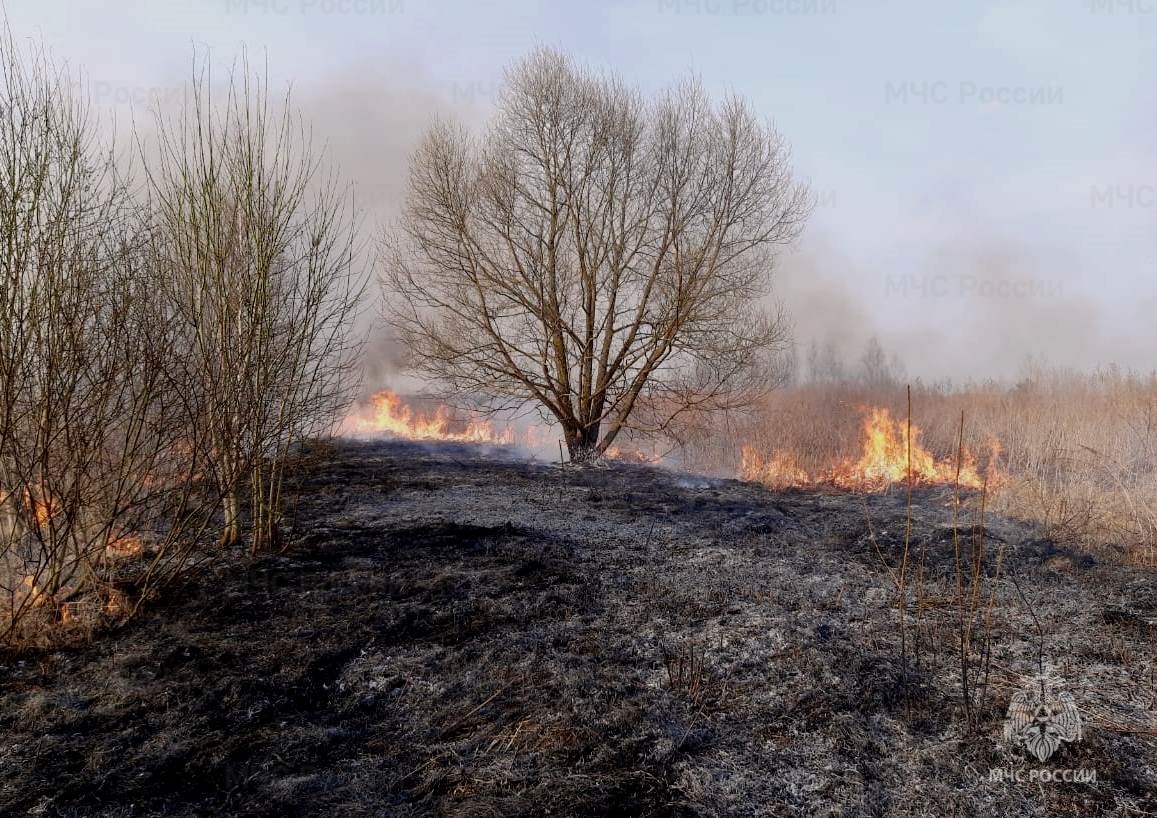 За сутки в Ярославской области спасатели 23 раза выезжали на тушение сухой травы
