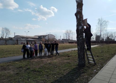В лесничествах Ярославской области проходит акция «Домик для пернатых»