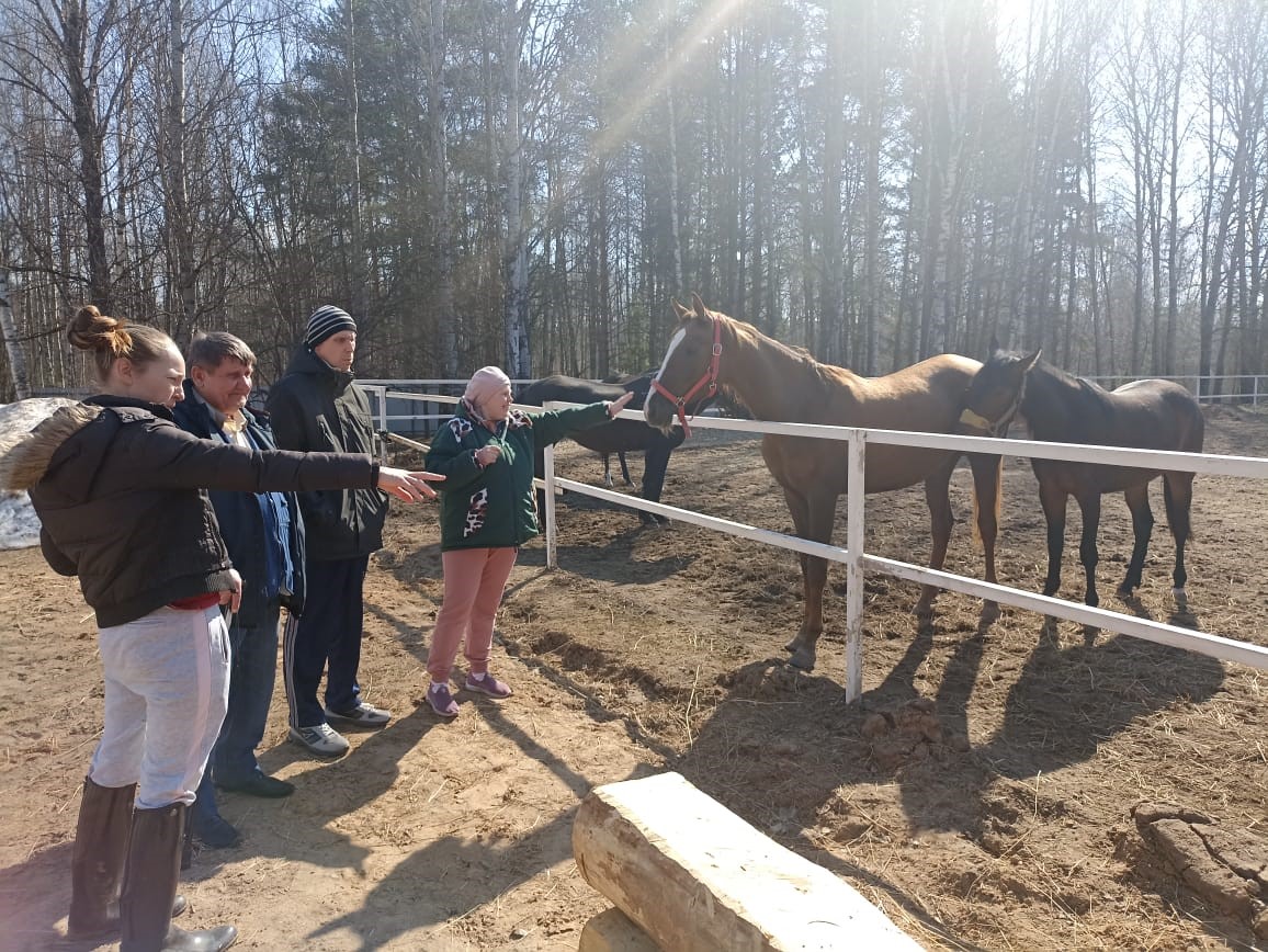 Лошади помогают реабилитации пожилых и инвалидов в Ярославской области