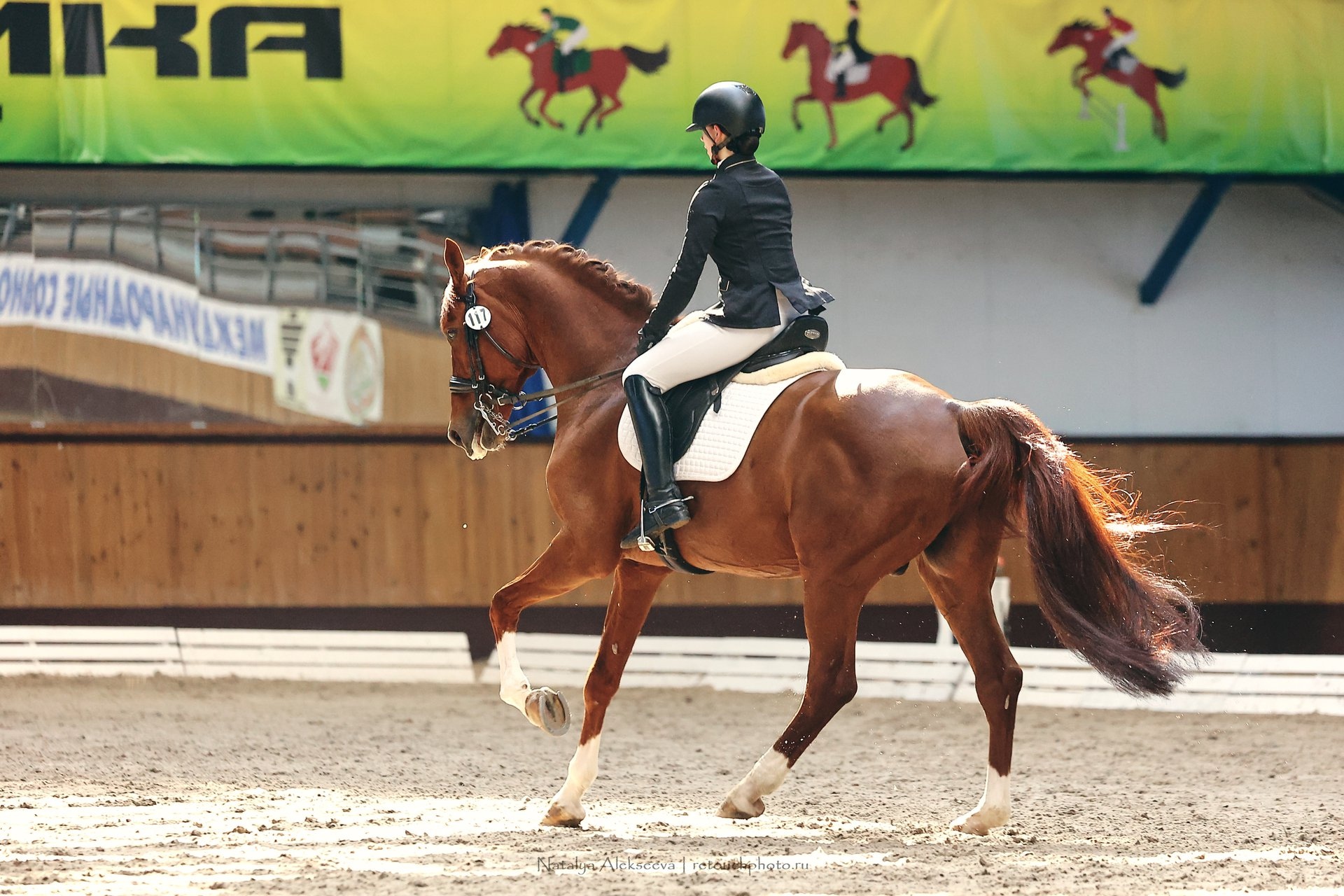 Екатерина Волончунас триумфально выступила на международных соревнованиях по конному спорту