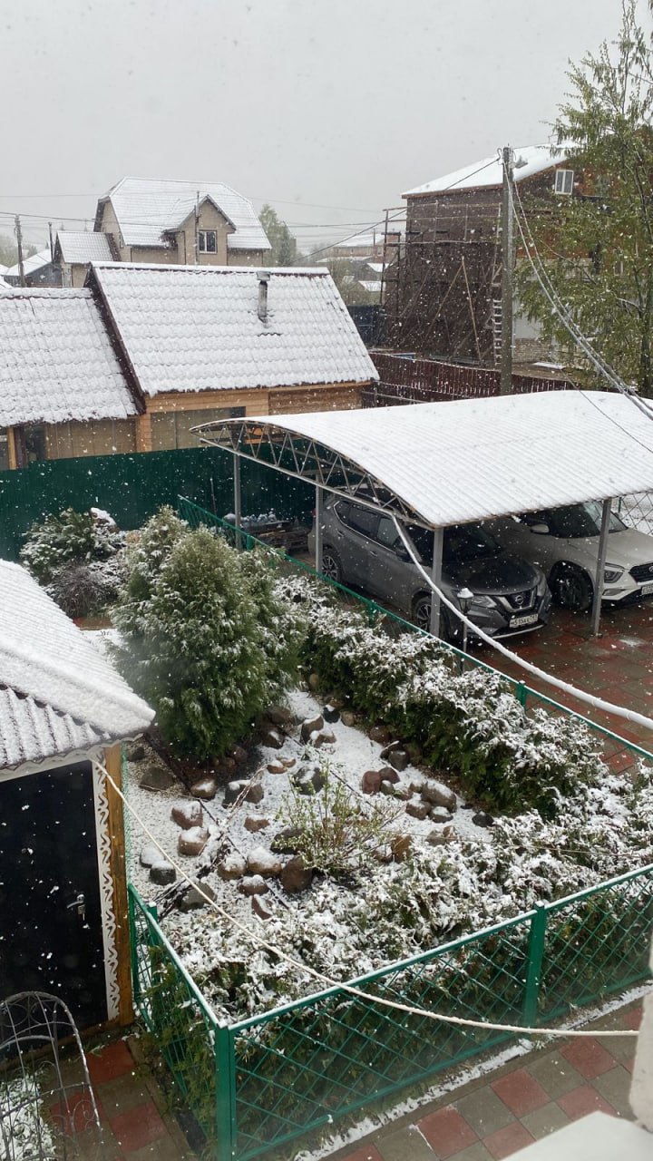 В Ярославской области в предпоследний день апреля выпал снег