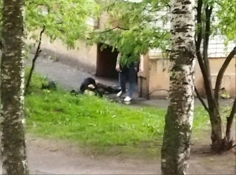 Из окна многоэтажки в Ярославле выпал мужчина- Яррег - новости Ярославской области