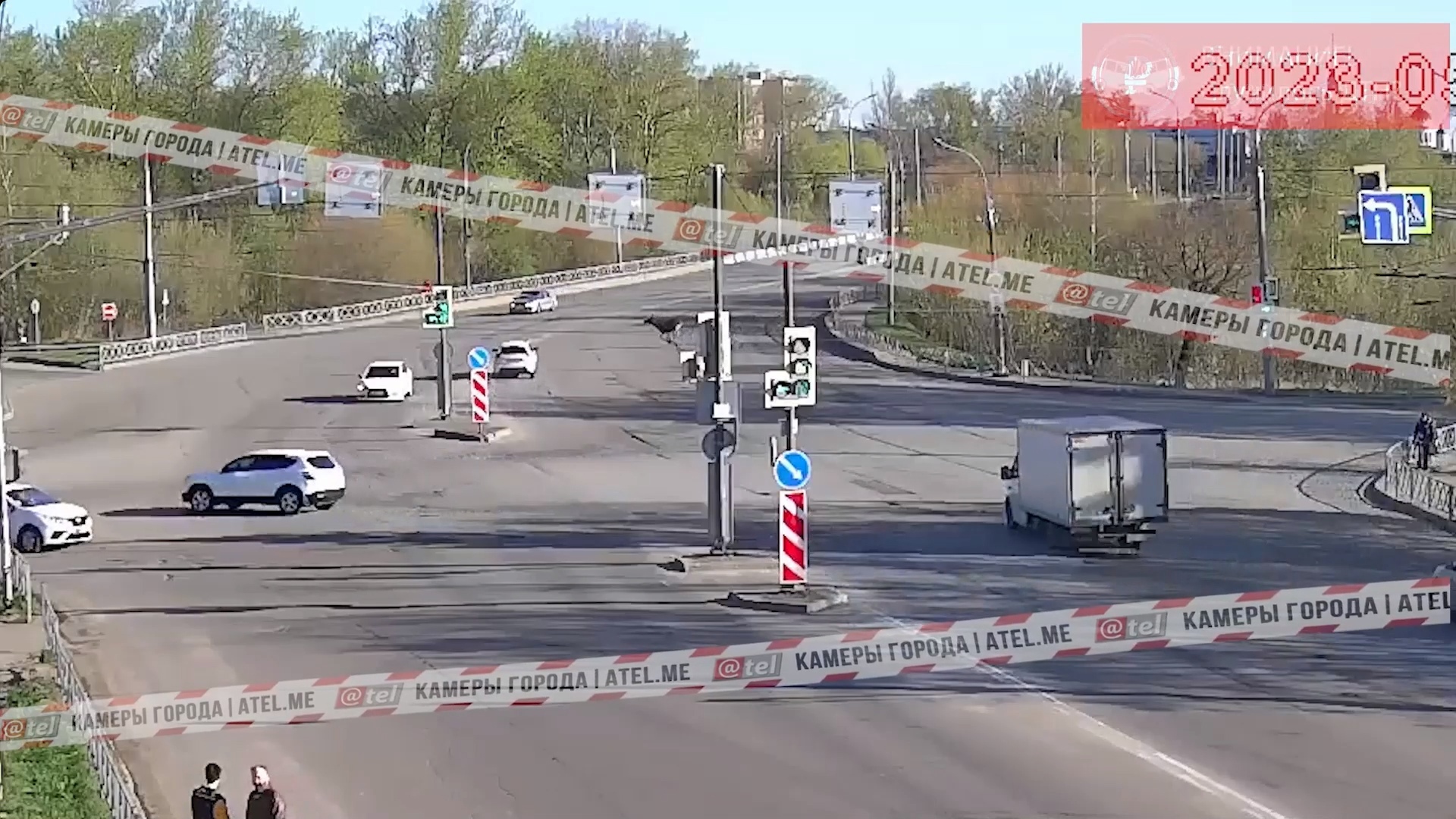 В сети появилось видео, как автомобиль сбил лося в Рыбинске