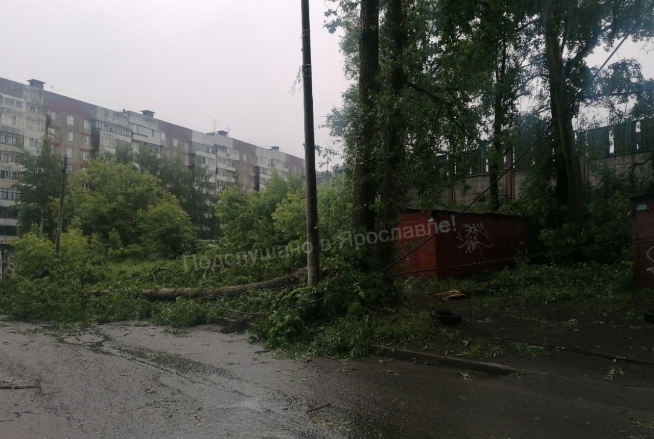 Град, гроза и падающие деревья: ярославцы поделились кадрами последствий стихии