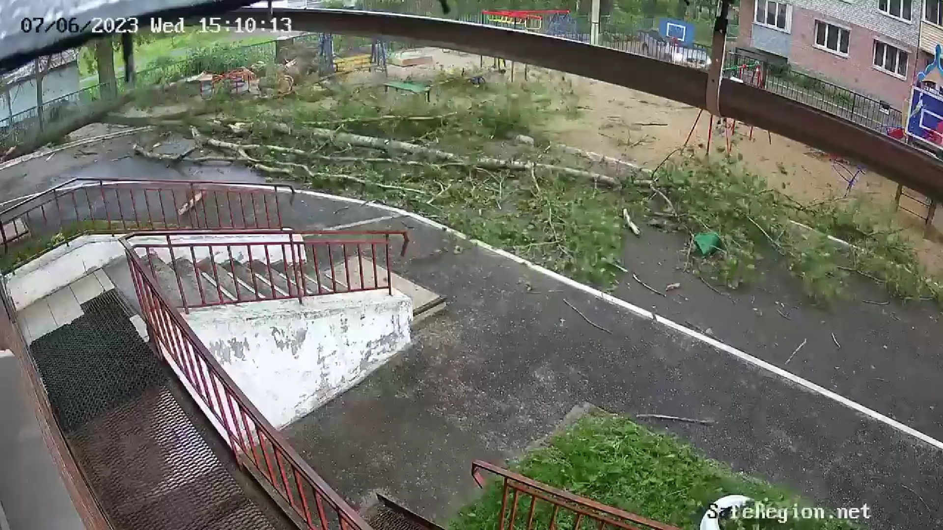 В сети появилось видео, как дерево рухнуло на площадку в Ярославле, где играли дети