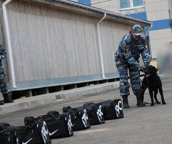 Ярославские кинологи отпраздновали 114-ю годовщину создания профильного подразделения в системе МВД России