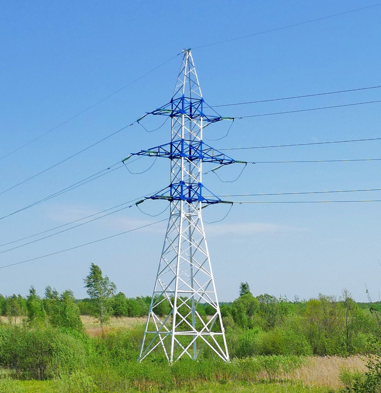 Специалисты Ярэнерго напоминают о правилах подключения резервных источников электроснабжения