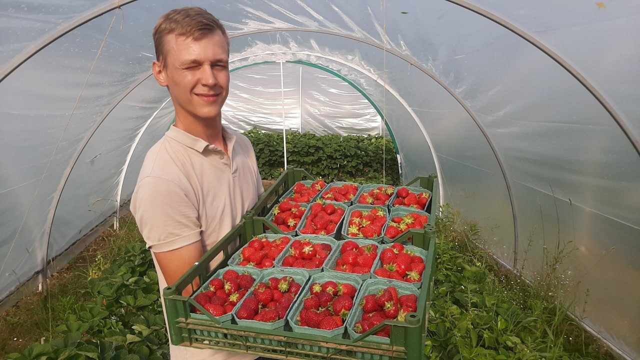 Предприниматель из Ярославской области благодаря господдержке создал ягодную ферму