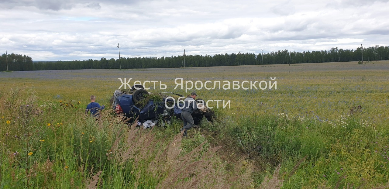 В ДТП на трассе в Ярославской области погибли водитель и пассажирка  иномарки | 11.07.2023 | Ярославль - БезФормата