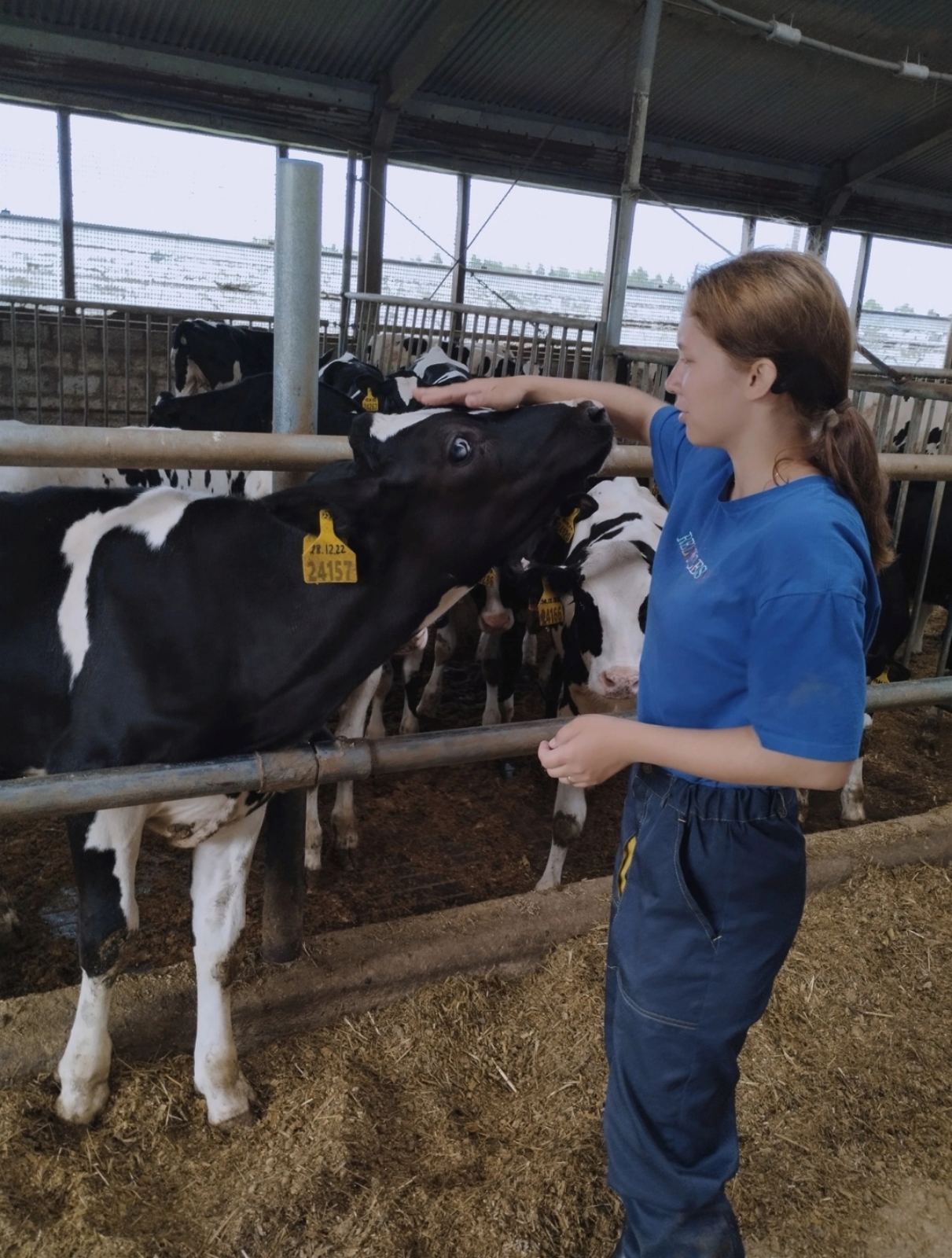 Студенты проходят практику на ярославских предприятиях АПК и ветеринарии