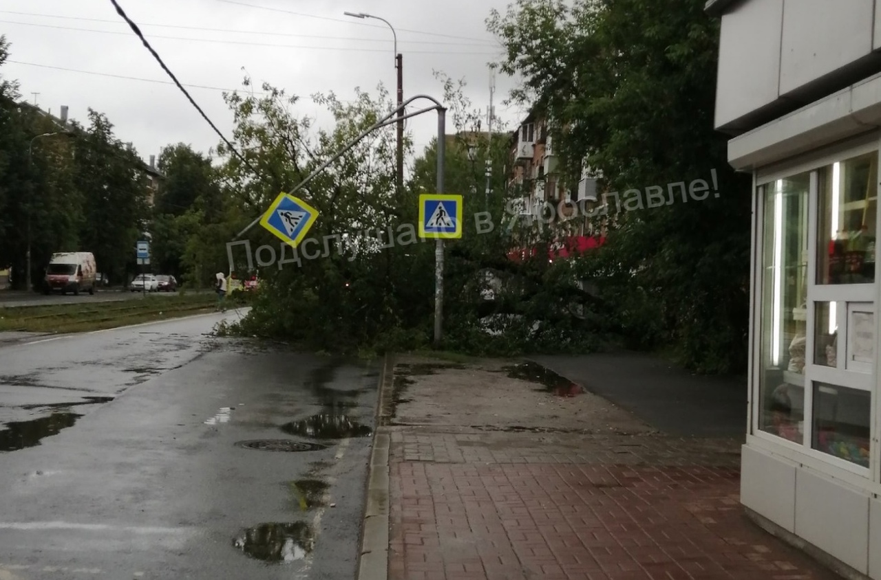 В Ярославле во время ливня затопило улицы, транспорт и жилые дома- Яррег -  новости Ярославской области