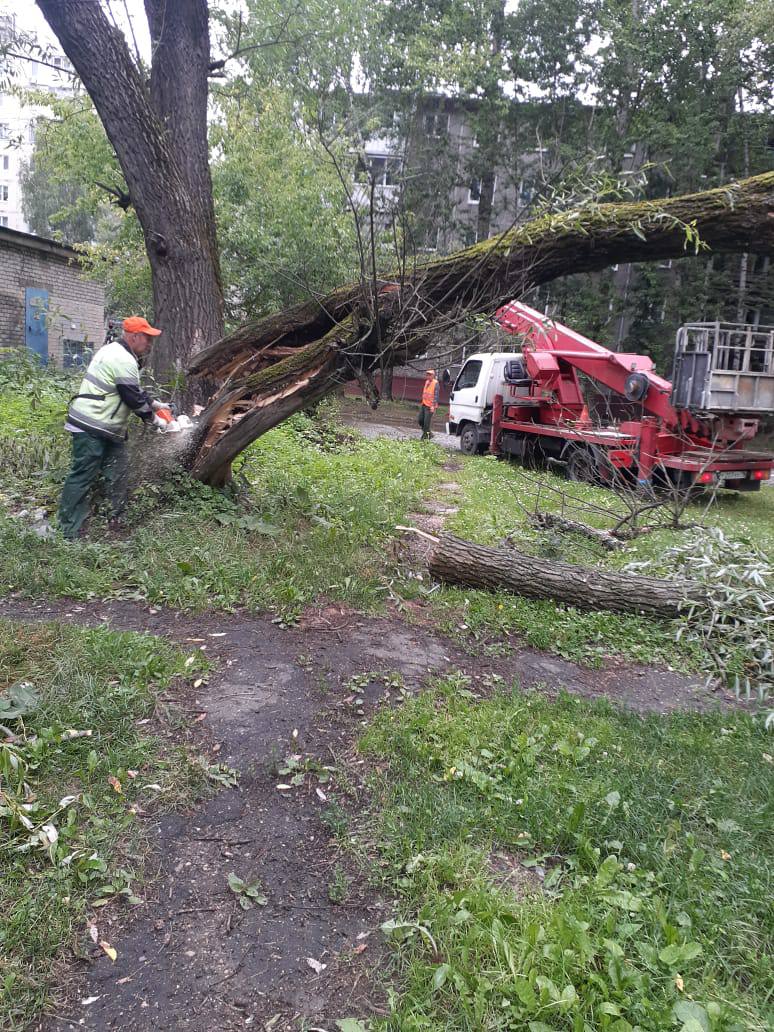 За несколько часов выпала месячная норма осадков: мэр Ярославля рассказал о борьбе с последствиями непогоды