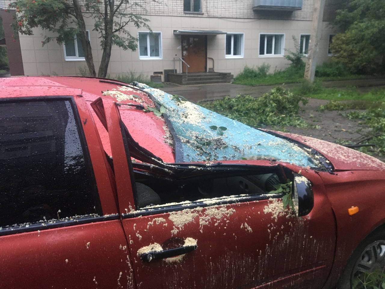 Во дворе в центре Ярославля упавшее дерево смяло автомобиль