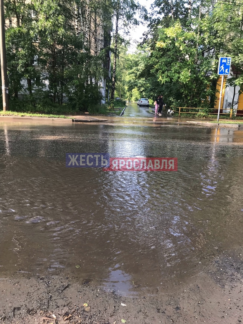 В Ярославле после ливня подтопило дороги и повалило деревья