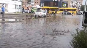 В Ярославле после ливня подтопило дороги и повалило деревья