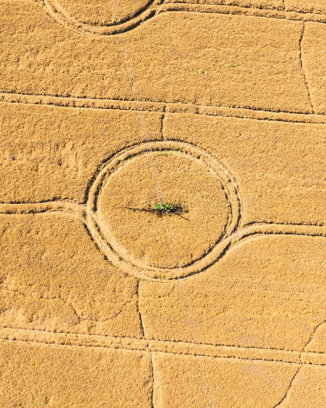 «Вызывайте Малдера и Скалли»: в Ярославской области сфотографировали круги на полях