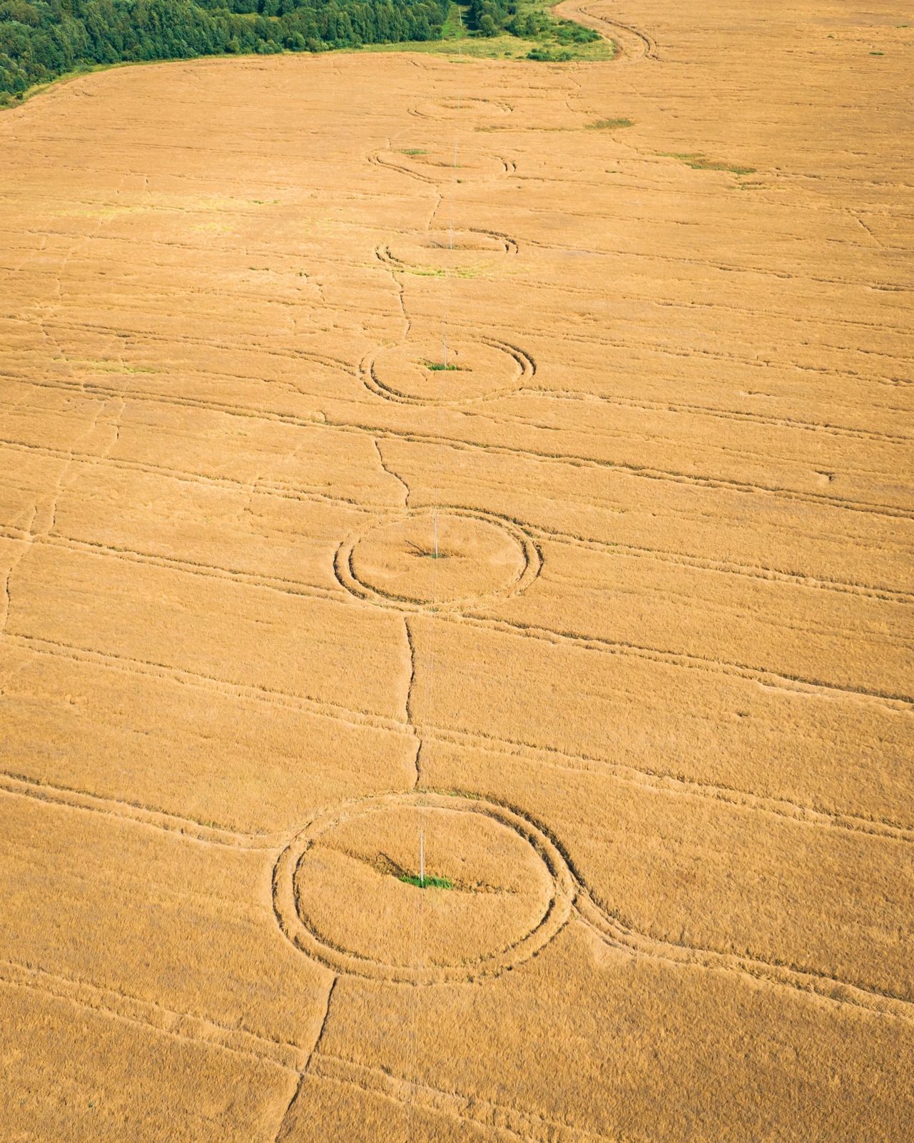 «Вызывайте Малдера и Скалли»: в Ярославской области сфотографировали круги на полях