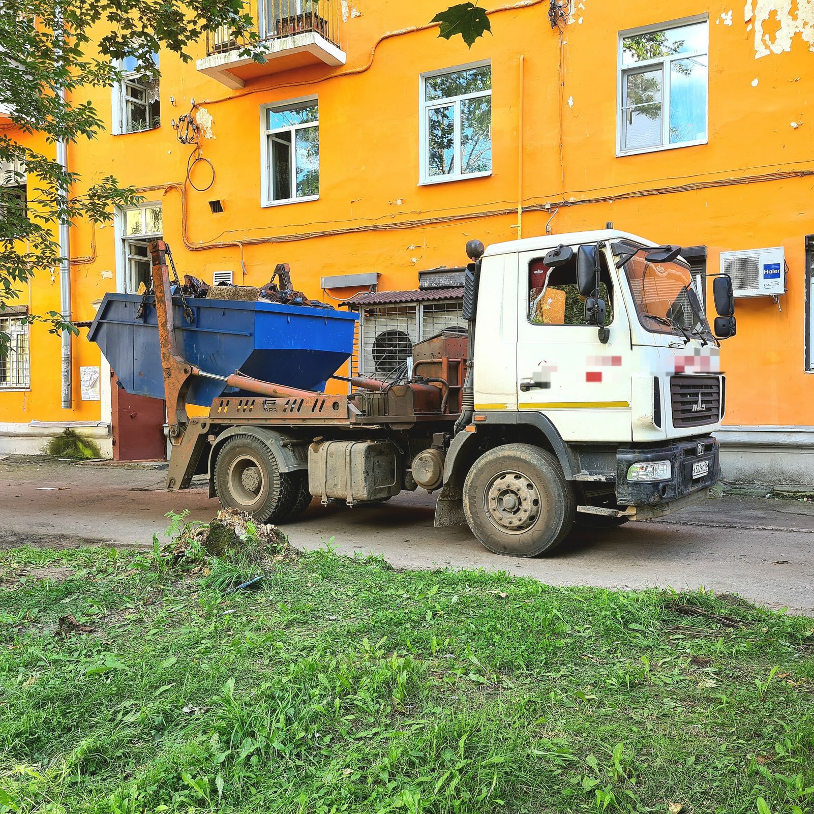 В Ярославле из «адской квартиры» спасли более десяти собак- Яррег - новости  Ярославской области