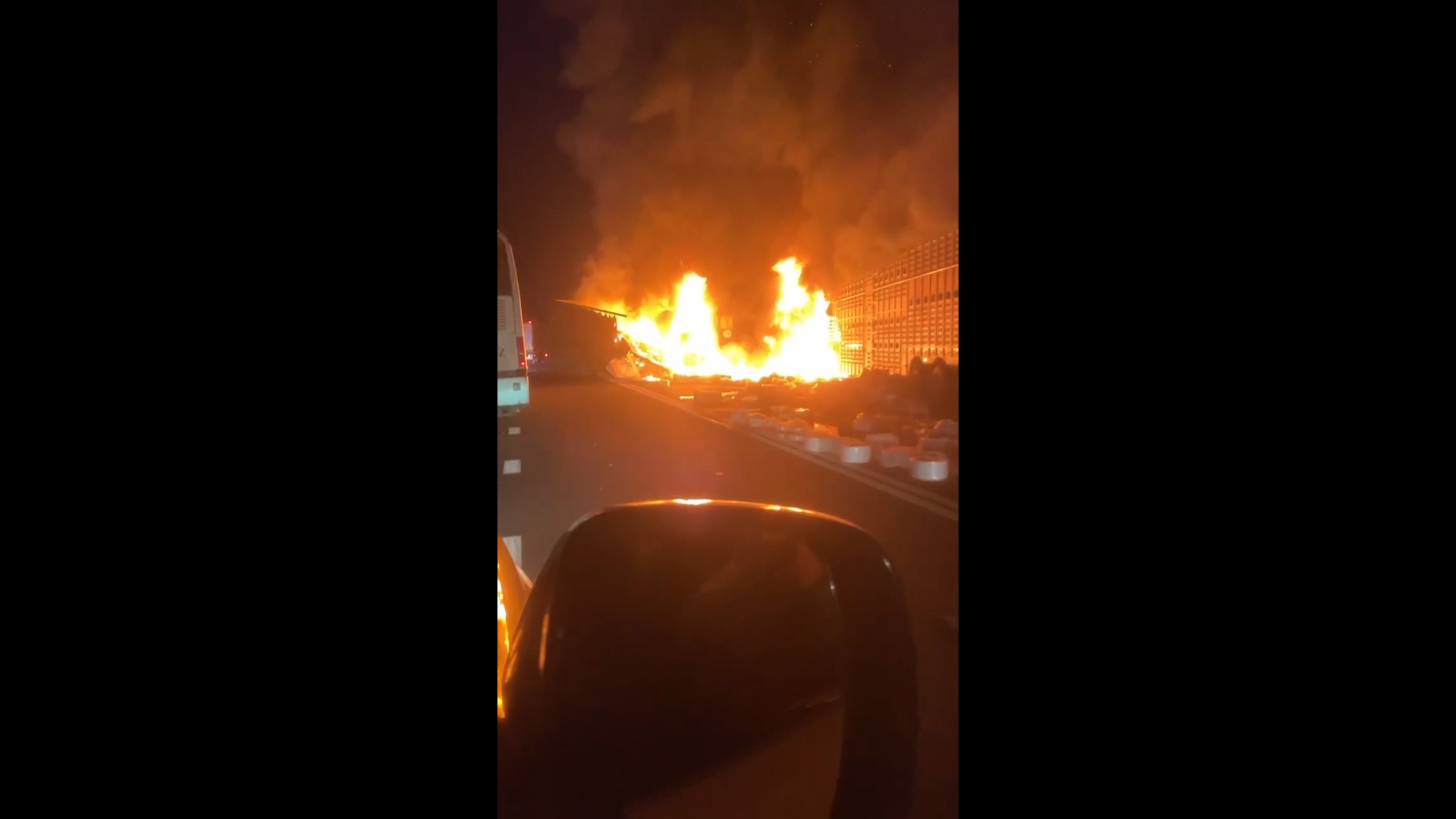 В Ярославской области при столкновении с лосем погиб водитель: загорелись две машины