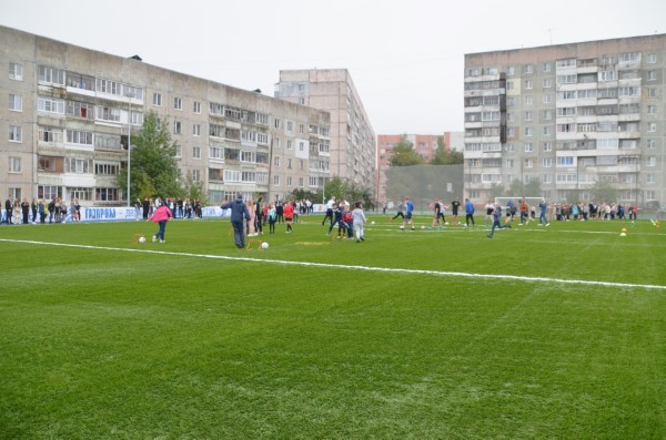 Школьные стадионы в Ярославской области откроют для занятий массовым спортом