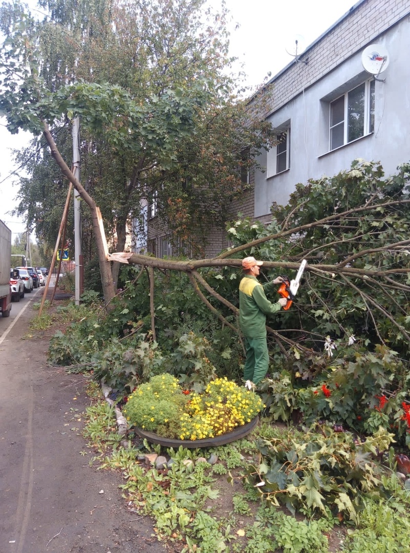 В Ярославле устраняют последствия шквалистого ветра
