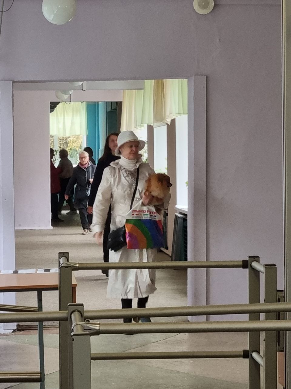«У меня лапки»: на участки в Ярославле пришли необычные избиратели