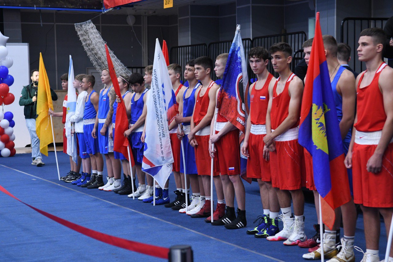 Команда Ярославской области завоевала 27 медалей Кубка губернатора по боксу