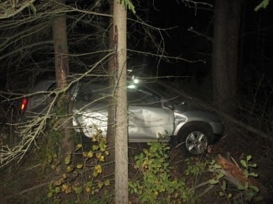 В ДТП с лосем на трассе в Ярославской области погиб 25-летний водитель