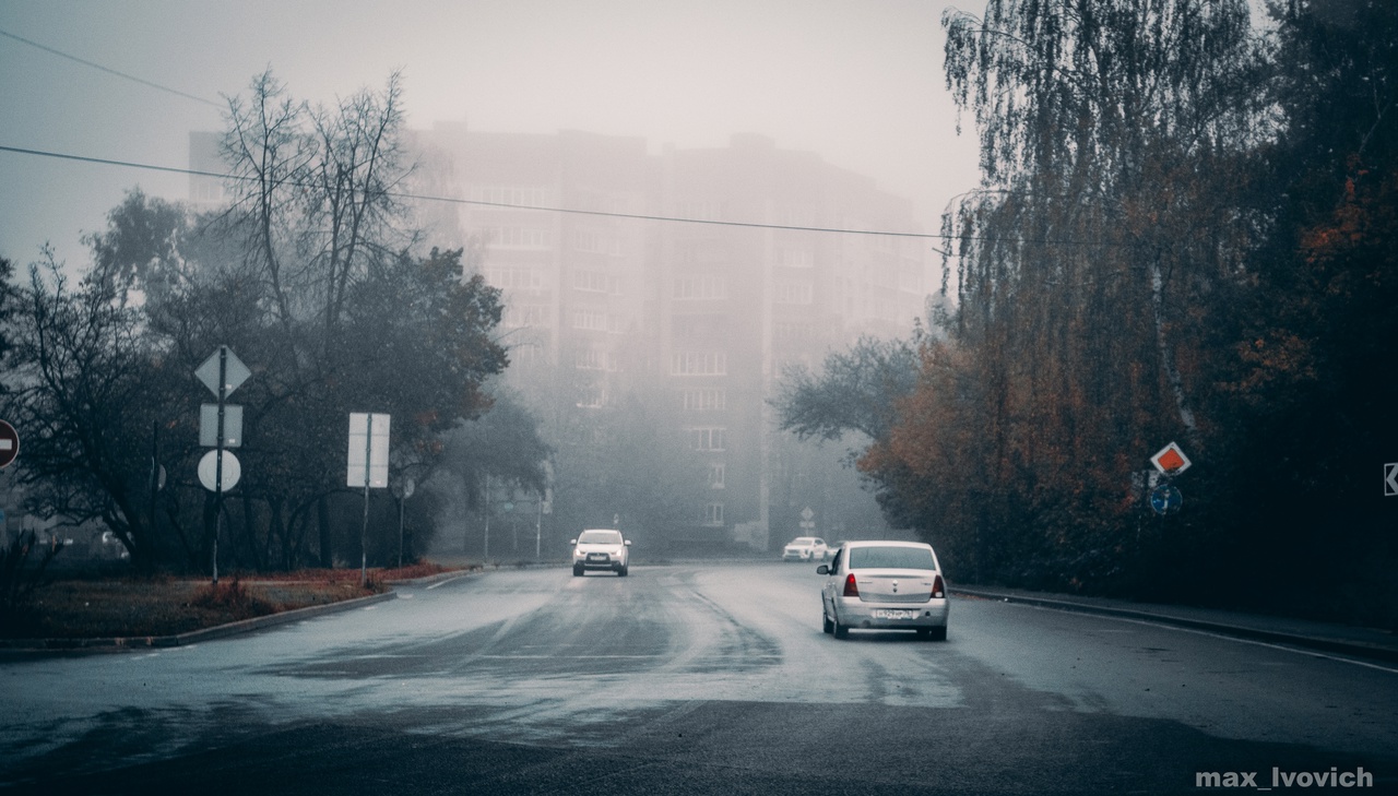 МЧС предупредило о тумане ночью и утром в Ярославской области