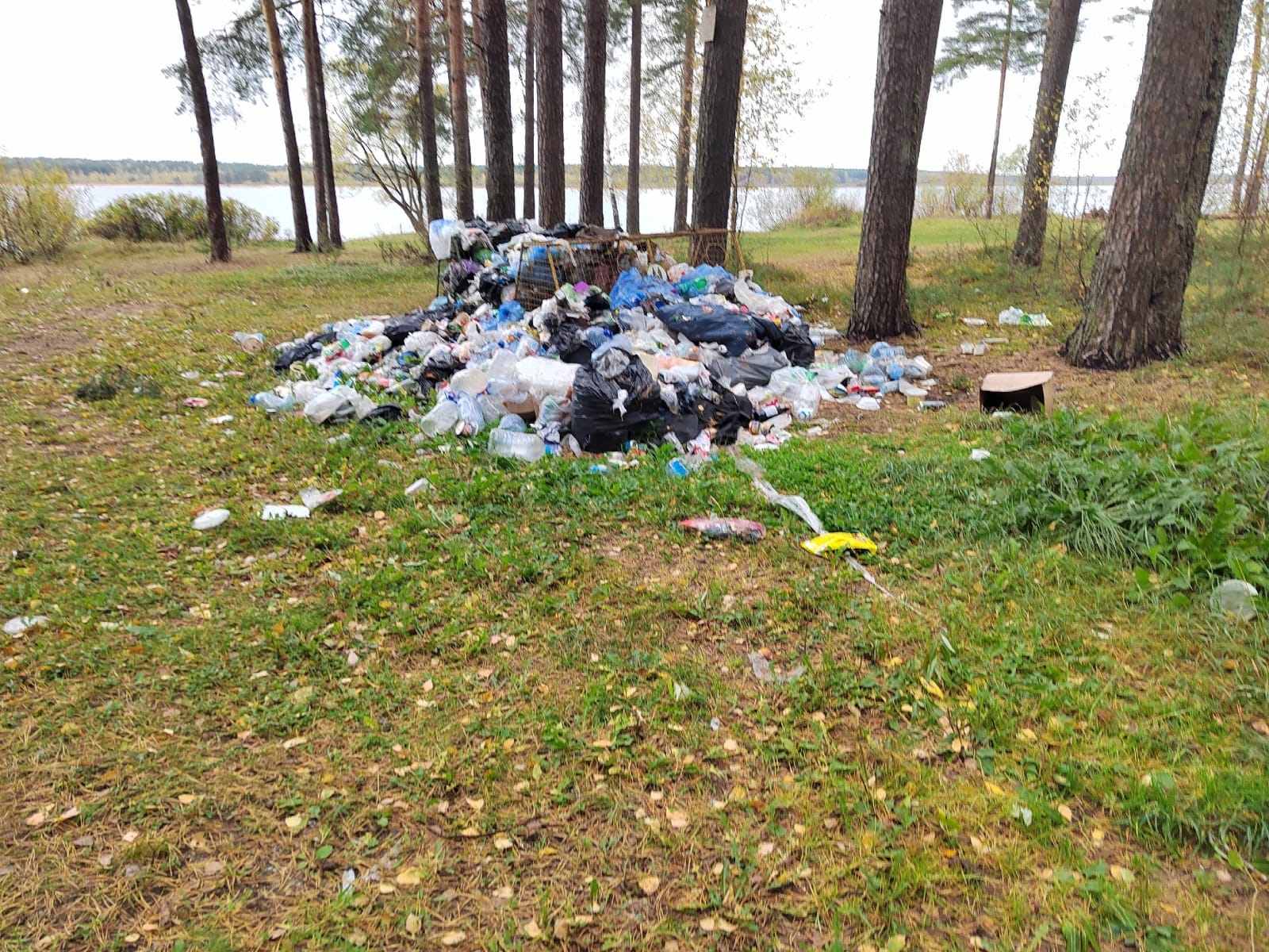 Порядка 20 кубометров мусора убрали в рамках субботника в Рыбинском районе