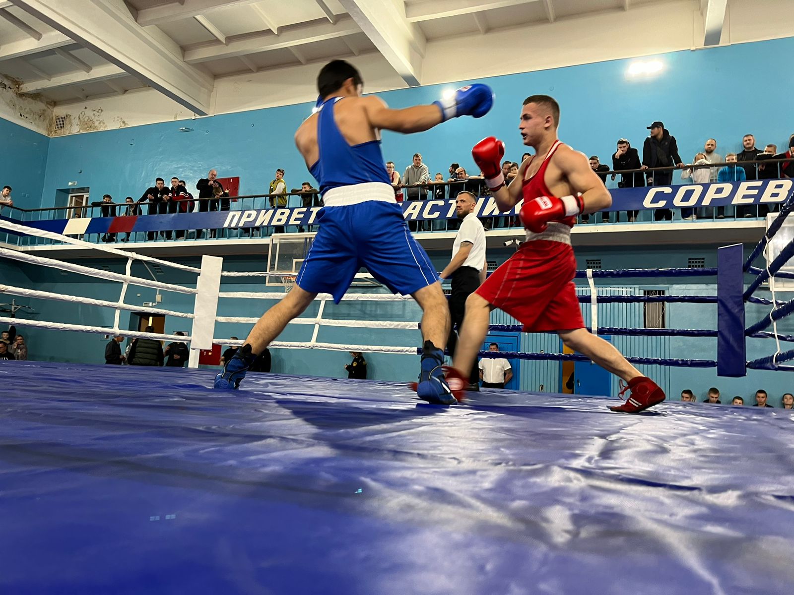 В Рыбинске стартовал традиционный турнир по боксу
