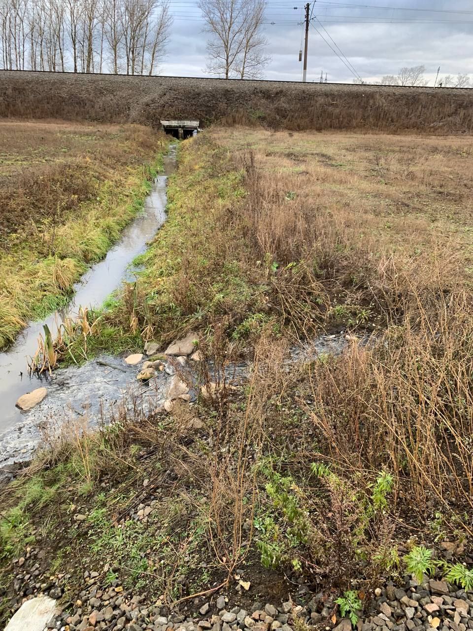 В Кировском районе Ярославля обнаружили впадающий в Которосль ручей со сточными водами