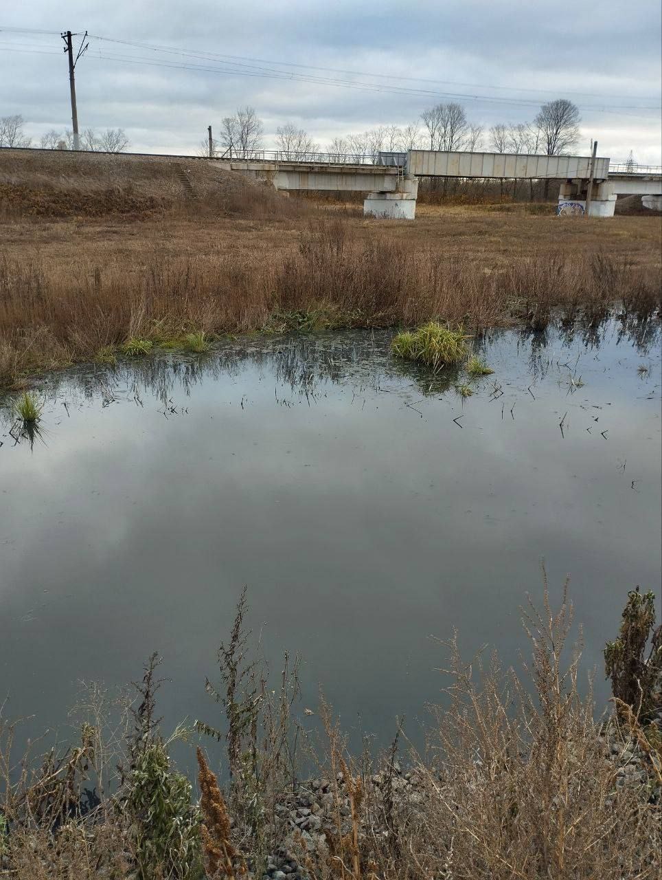 В Кировском районе Ярославля обнаружили впадающий в Которосль ручей со сточными водами