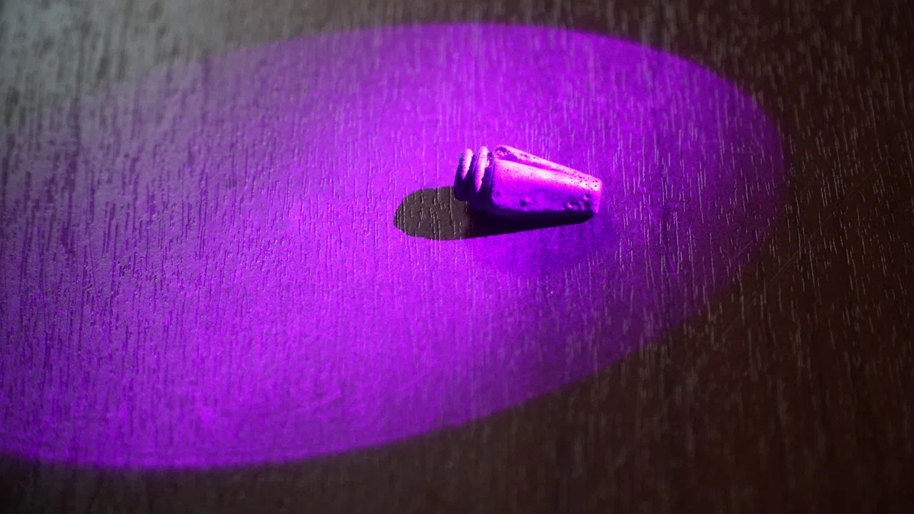 Ученые подтвердили древнеегипетское происхождение найденной в Ярославской области бусины