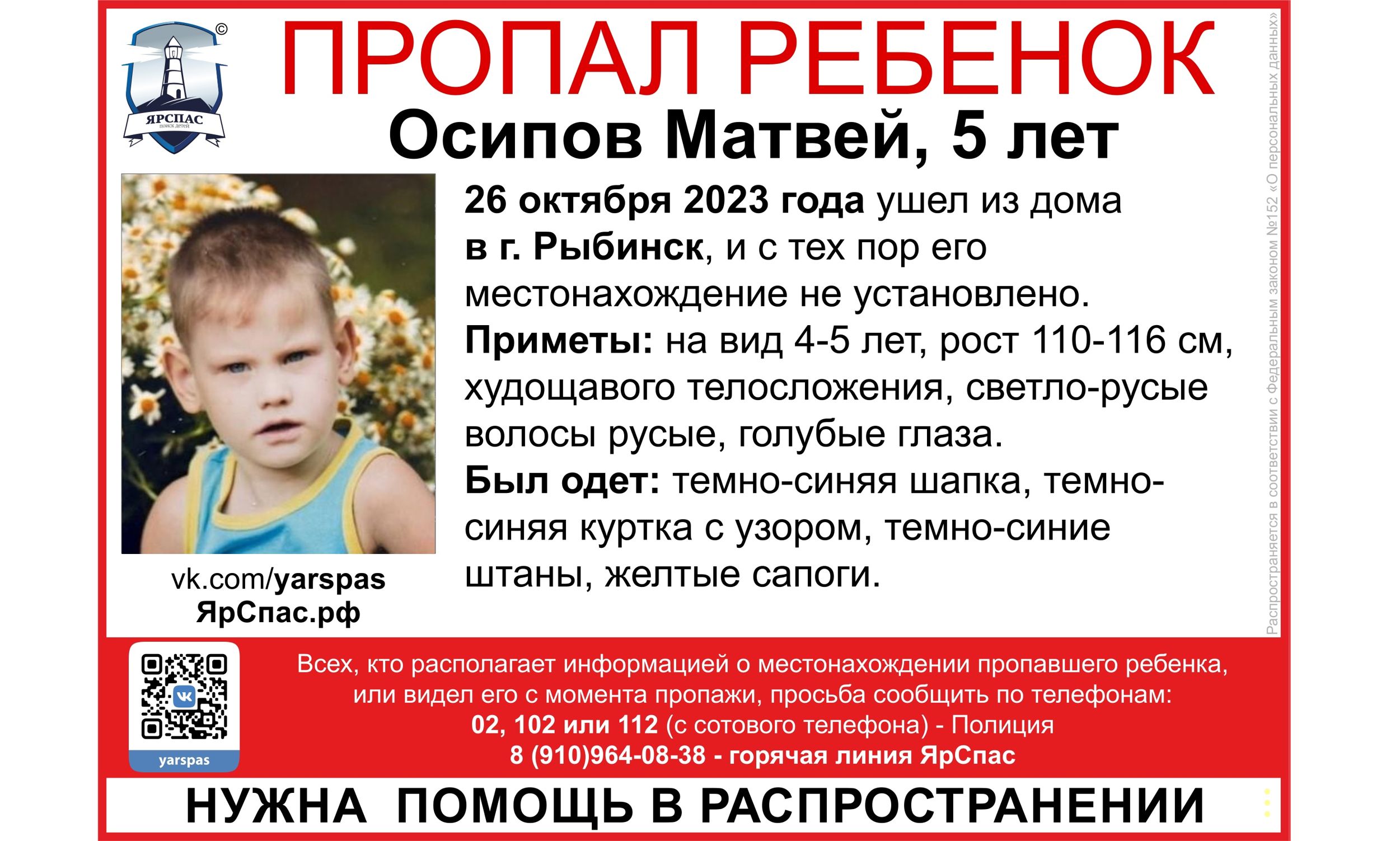 В Ярославской области больше двух недель разыскивают мать и сына