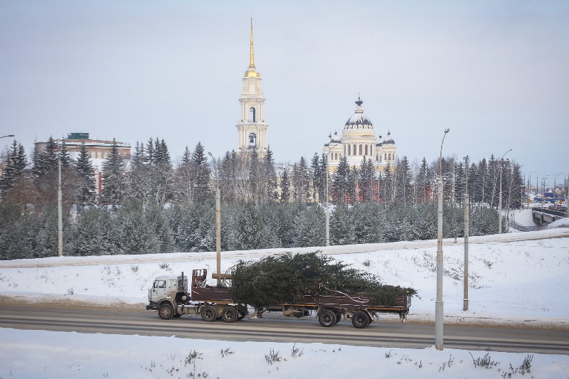 В Рыбинске на Красной площади установили 15-метровую ель