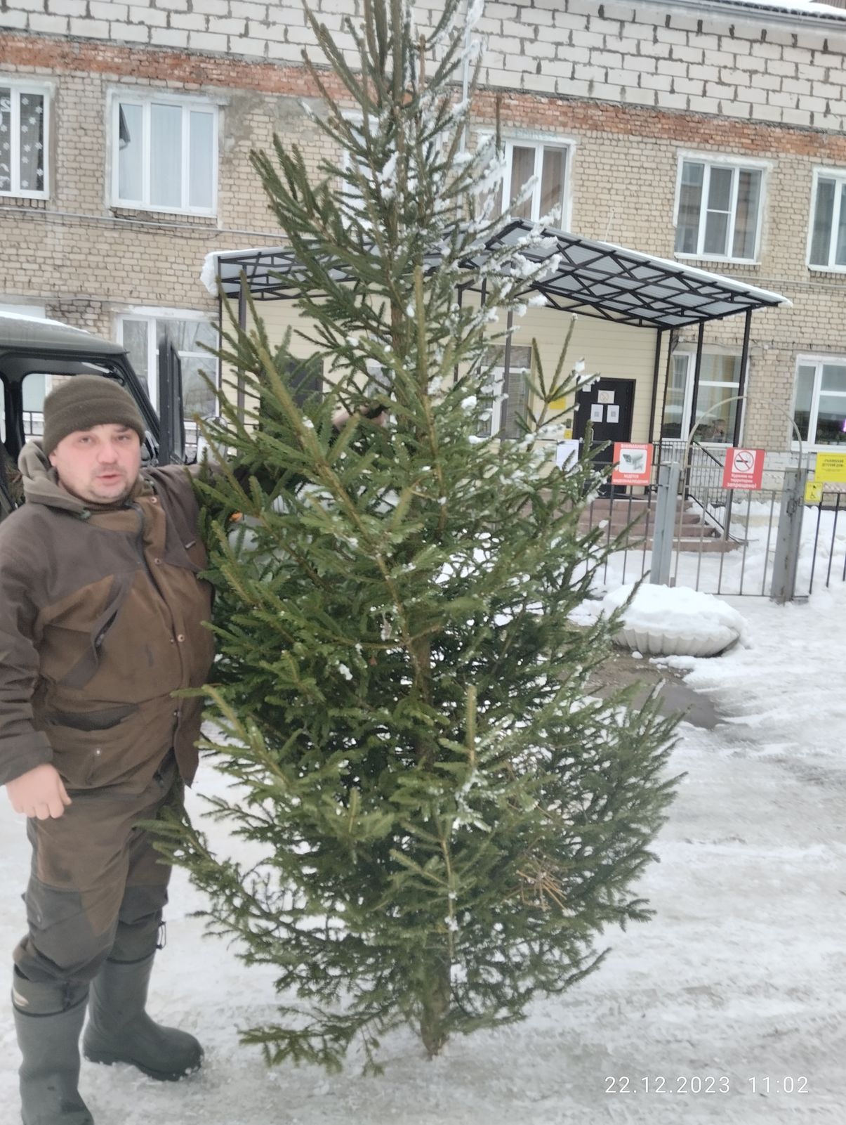 Около 20 елей получат участники акции «Елка в подарок»