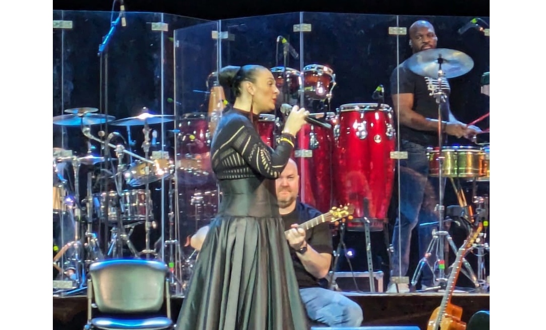 Елена Ваенга опубликовала герб Ярославля на своей странице в социальных сетях