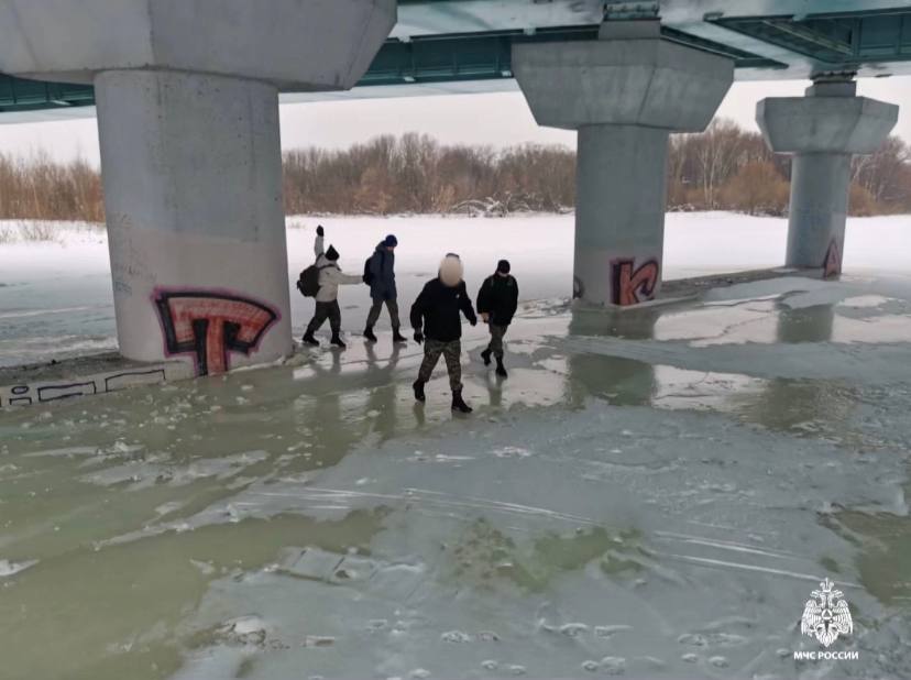В Ярославле спасли подростков с тонкого льда